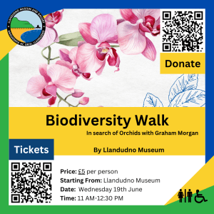 Biodiversity Walk June