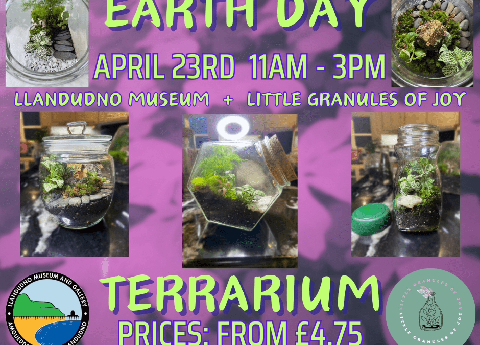 Terrariums Available on Earth Day at Llandudno Museum!