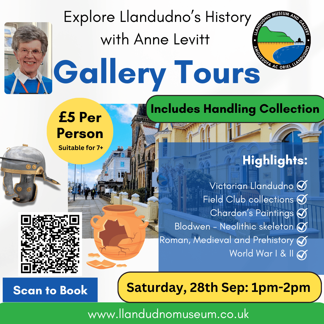 Gallery Tours September Echoes of the Slave Trade in North Wales